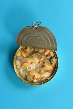 Siyah arkaplandaki istiridye kutusu