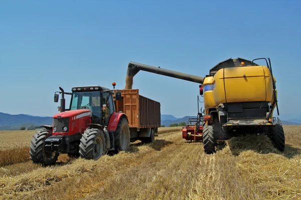 Um campo de trigo na colheita de verão um trator i colheitadeira — Fotografia de Stock