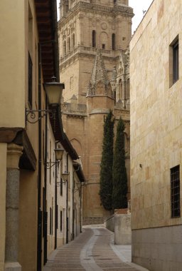 Cathedral of Salamanca ,Castilla y Leon, Spain clipart