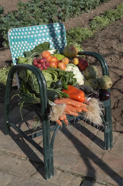 Verdure in una sedia all'esterno e un giardino — Foto Stock