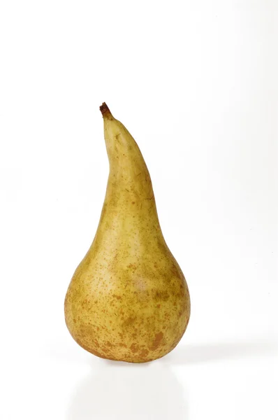 Conference pear with white background — Stock Photo, Image