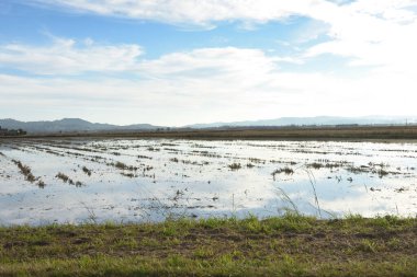 S Abanell plajı, Blanes, Costa Brava, Girona ili, Katalonya, İspanya