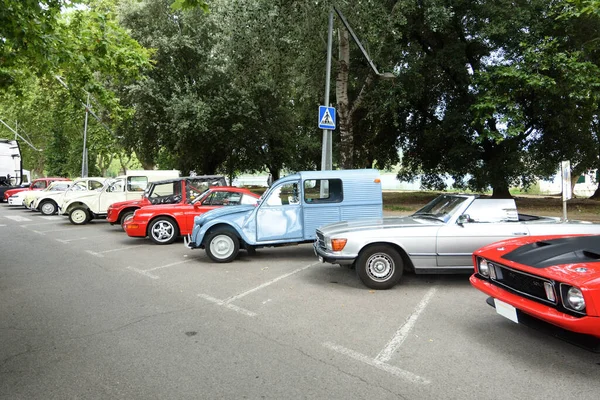 Klasik araba şovu, geçit töreni, park edilmiş araba.