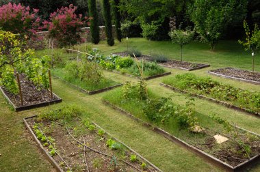 farklı sebze ile Bahçe