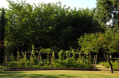 farklı sebze ile Bahçe