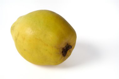 Beyaz bir arka planda Ayva