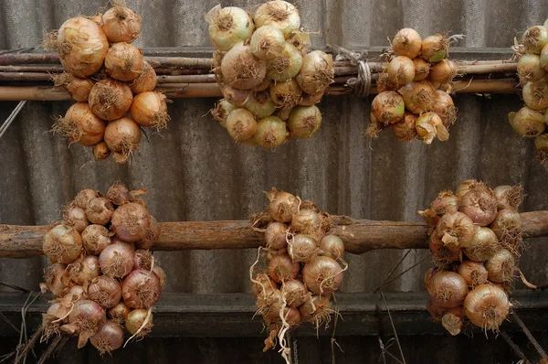 Dettaglio appeso cipolla per l'inverno — Foto Stock