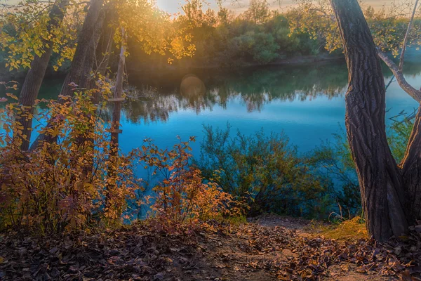 River in a delightful autumn forest — Stock Photo, Image