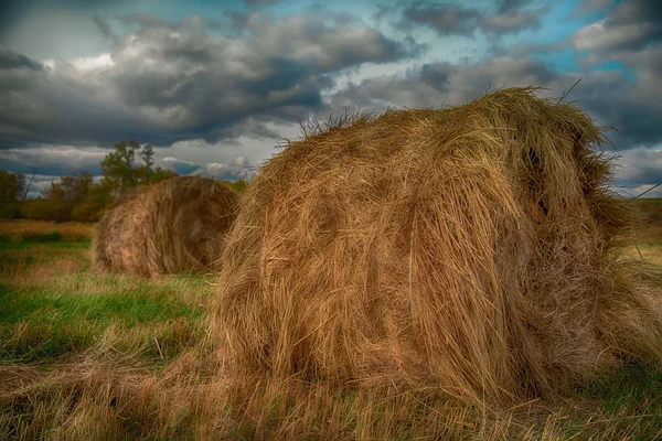 Hay stack in a summer field — Stock Photo, Image