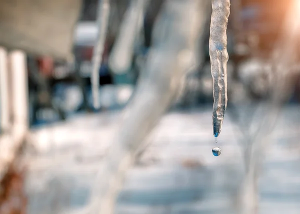 Schöne Eiszapfen glitzern in der Sonne — Stockfoto