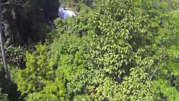 Luchtfoto schot op Wachiratarn waterval Chiang Mai, Thailand — Stockvideo