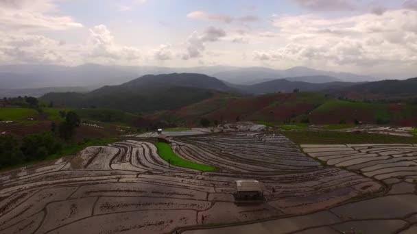 Letecký záběr rýžové pole v Chiang Mai, Thajsko — Stock video