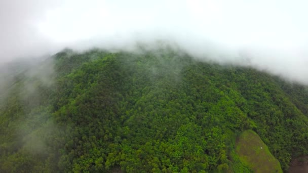 Camino de tiro aéreo en la montaña . — Vídeos de Stock