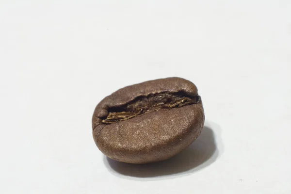 Coffee beans in macro — Stock Photo, Image