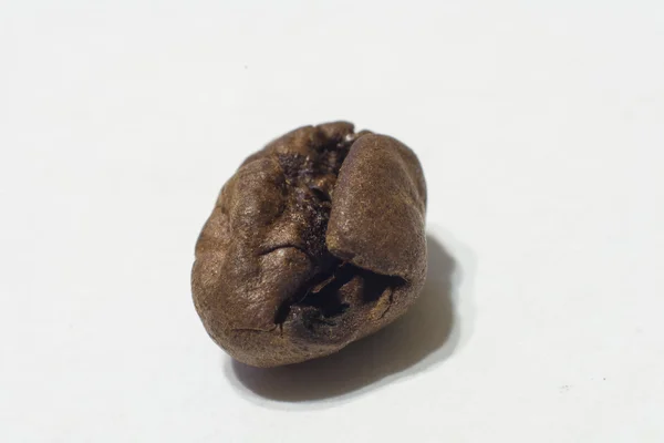 Кофейные зерна в макро — стоковое фото