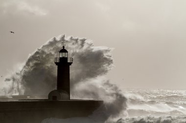 Oporto yılında deniz feneri
