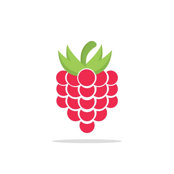 Raspberry Fruit Flat Style Isolated Design Vector Illustration Icon — Stock Vector