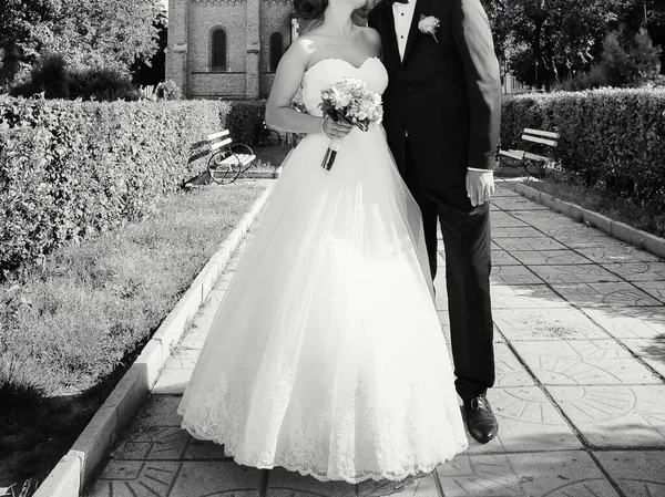 Bride Groom Outdoor Photo Shooting — Stock Photo, Image