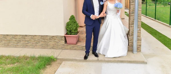Sposa Sposo Insieme Tenendo Mazzo Fiori Blu — Foto Stock