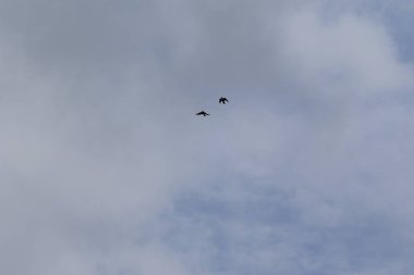 Yağmurlu bir günde bulut oluşumları