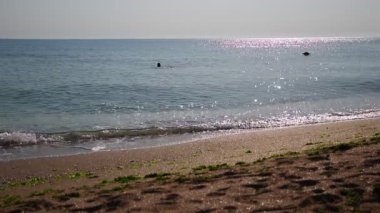 İnsanlar gün doğumunda denizde yüzerler.
