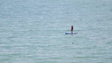 İnsanlar denizde kürek çekiyorlar.