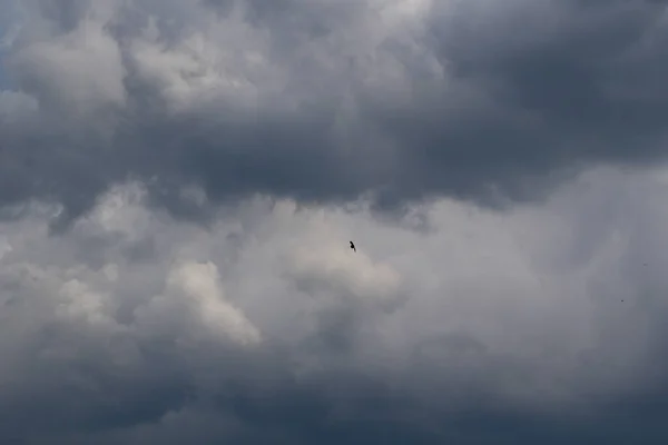 Yağmurlu Bir Günde Bulut Oluşumları — Stok fotoğraf
