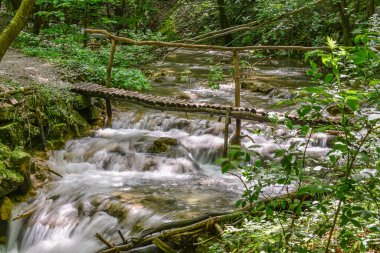 Romanya 'nın Susara Nehri' ndeki orman akıntıları. Nehir akıntısında şelaleler