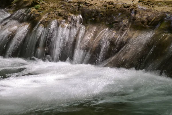 Peřeje Lesním Potoce Řeka Susara Rumunsko Vodopády Proudu Řeky — Stock fotografie