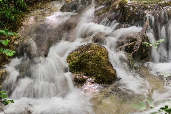 Peřeje Lesním Potoce Řeka Susara Rumunsko Vodopády Proudu Řeky — Stock fotografie