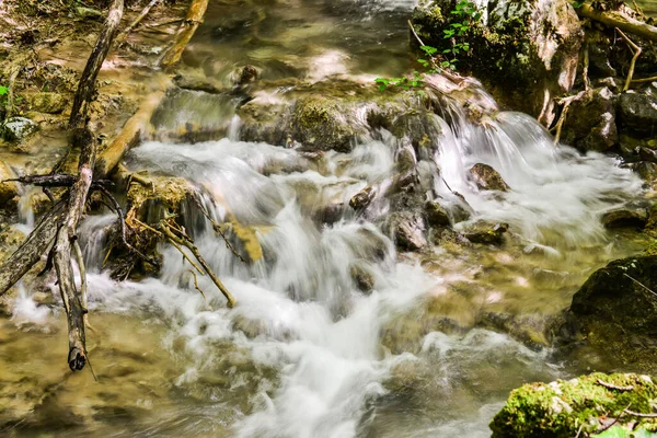 Peřeje Lesním Potoce Řeka Susara Rumunsko Vodopády Proudu Řeky — Stock fotografie