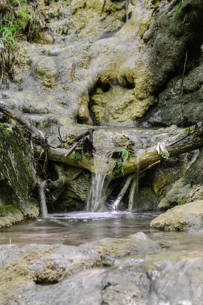 Peřeje Lesním Potoce Řeka Susara Rumunsko Vodopády Proudu Řeky — Stock fotografie