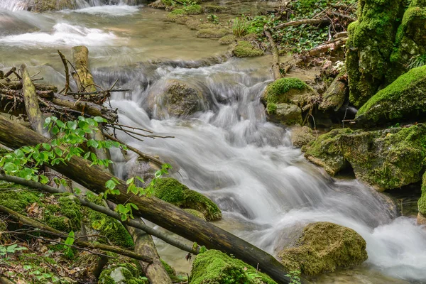 Peřeje Lesním Potoce Řeka Susara Rumunsko Vodopády Proudu Řeky — Stock fotografie