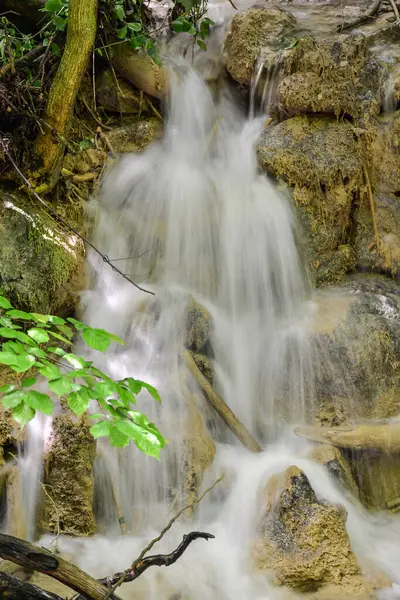 Peřeje Lesním Potoce Řeka Susara Rumunsko Vodopády Proudu Řeky — Stock fotografie