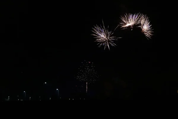 Feuerwerk Auf Schwarzem Himmel — Stockfoto