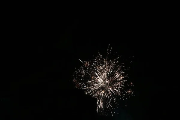 Feux Artifice Sur Fond Ciel Noir — Photo