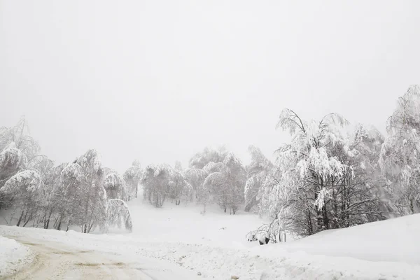 Téli Havas Hegyvidéki Régióban Nagy Havazás Után Romániában — Stock Fotó