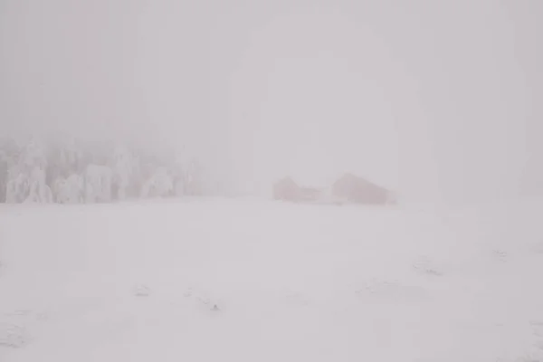 Paisagem Floresta Montanha Dia Inverno Nebuloso — Fotografia de Stock