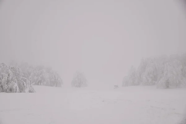 Dağ Ormanları Sisli Bir Kış Gününde — Stok fotoğraf