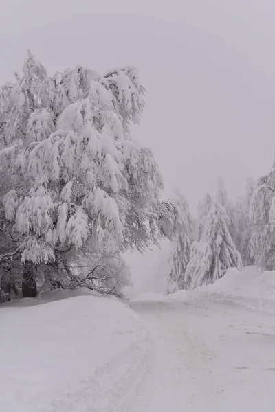 罗马尼亚大雪后山区冬季雪地公路 — 图库照片