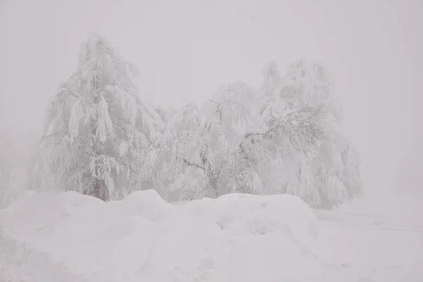 多雾的冬日山林景观 — 图库照片