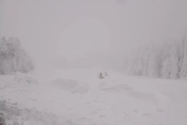 Soğuk Bir Kış Şiddetli Karla Kaplı Ağaçlar Nsanlar Kar Motosikletine — Stok fotoğraf