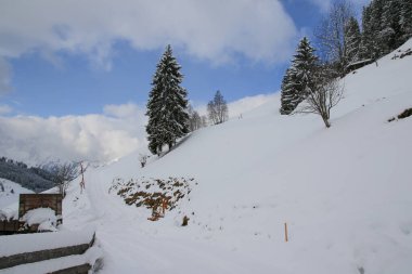 Avusturya Alplerinde kış manzarası