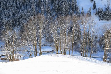 Avusturya Alplerinde kış manzarası