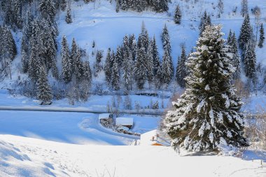 Avusturya Alplerinde kış manzarası