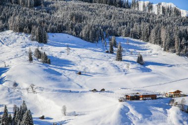 Avusturya Alplerinde kış manzarası