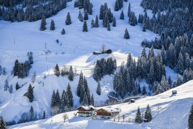 Avusturya Alplerinde kış manzarası