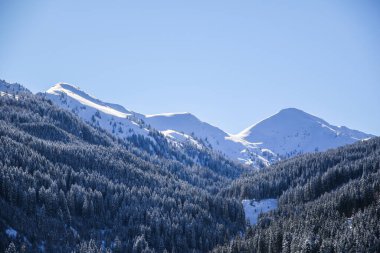 Avusturya Alplerinde kış manzarası