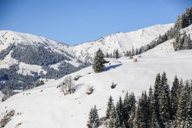 Avusturya Alplerinde kış manzarası