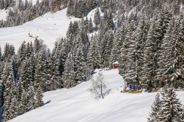 Avusturya Alplerinde kış manzarası